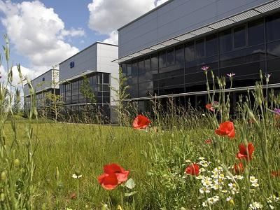 Photo of Europa Green business park, seen across a field of grass and poppies